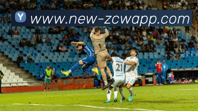 足彩网APP 封面图